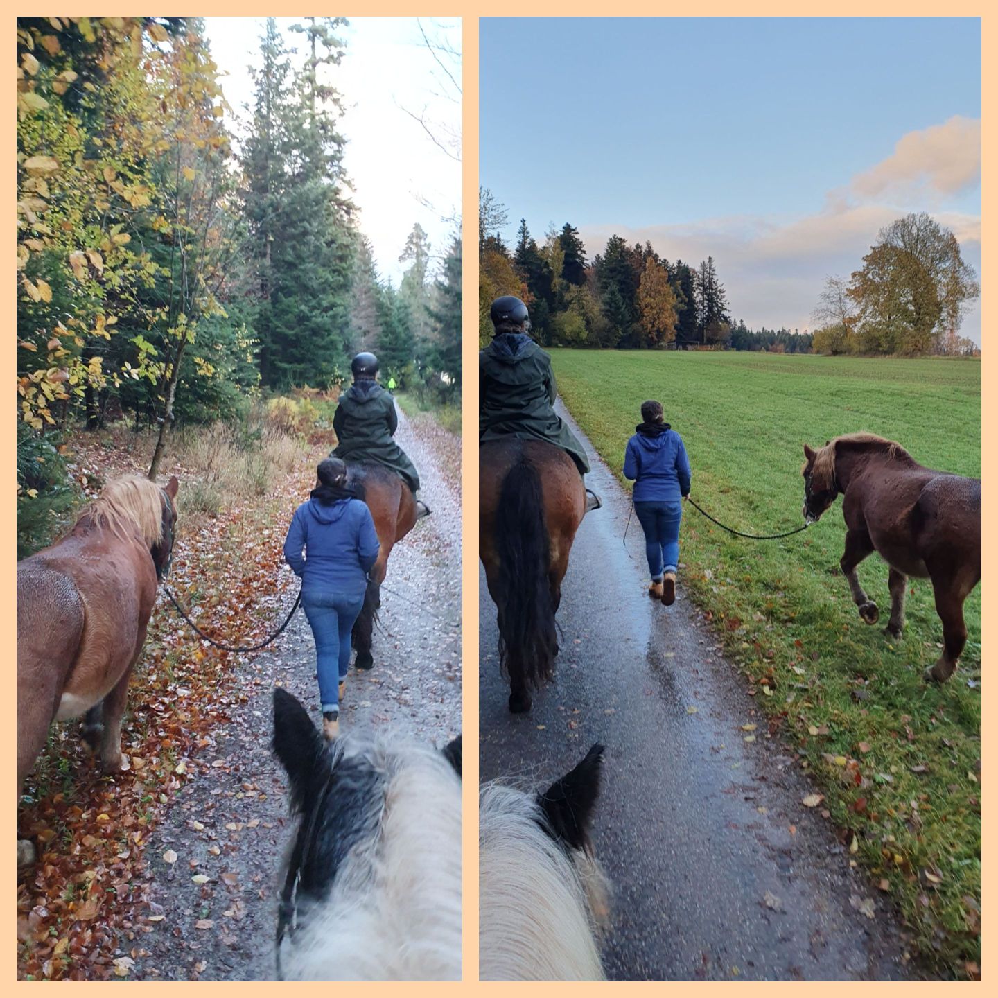 2023 11 November 608